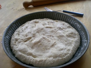 pizza calabrese